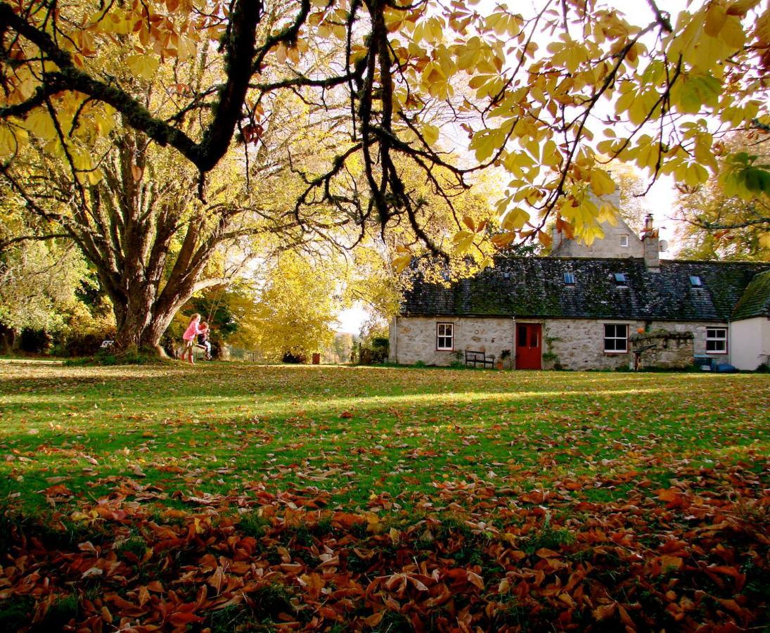 The Dell Of Abernethy - A Woodland Hideaway Apartamento Nethy Bridge Exterior foto