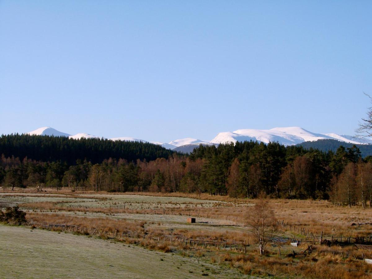 The Dell Of Abernethy - A Woodland Hideaway Apartamento Nethy Bridge Exterior foto