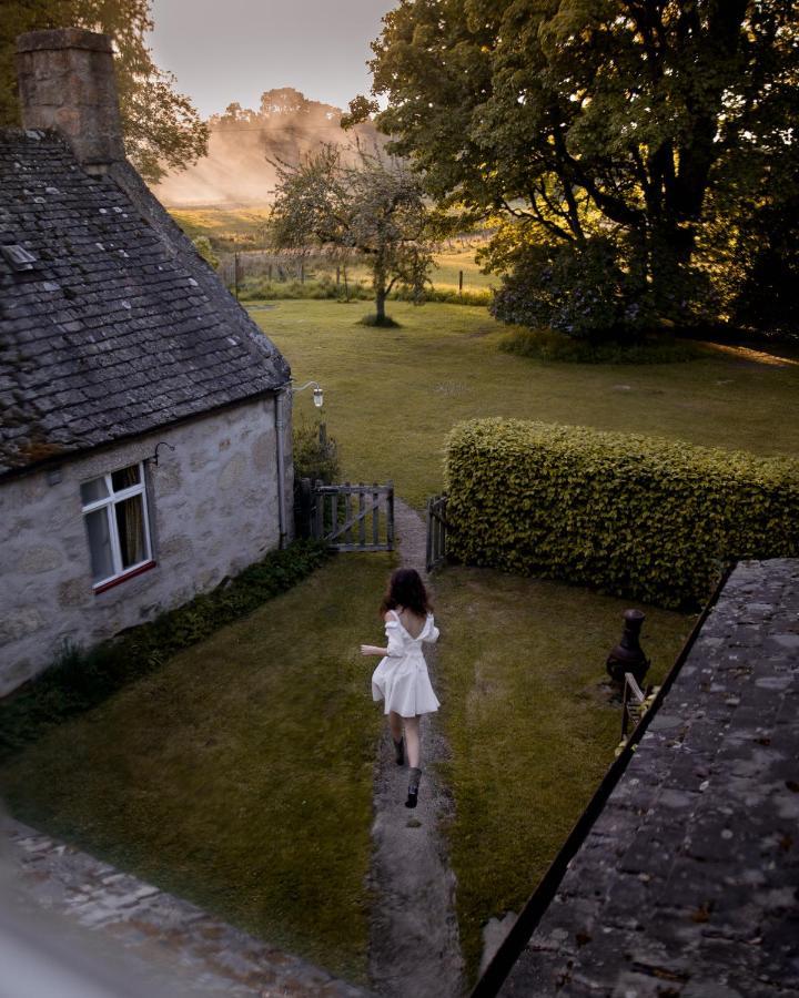 The Dell Of Abernethy - A Woodland Hideaway Apartamento Nethy Bridge Exterior foto